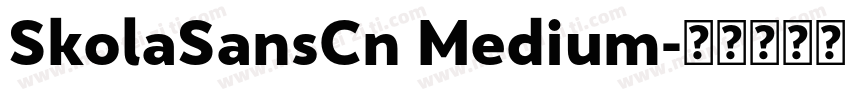SkolaSansCn Medium字体转换